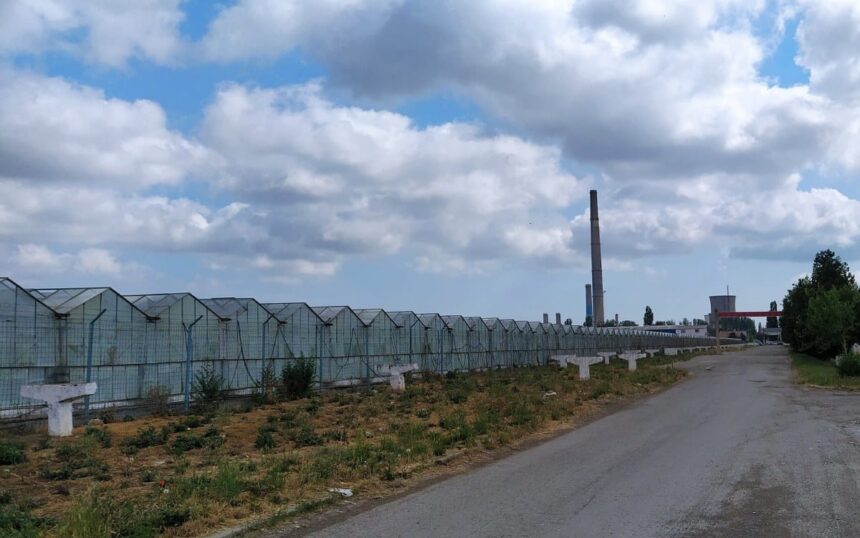 Primăria își propune să reînvie sectorul agro-industrial al orașului, însă întâmpină obstacole pe parcurs. 1 administratia locala vrea sa revitalizeze si zona agro industriala a municipiului dar se impotmoleste pe drum 683388d81d129