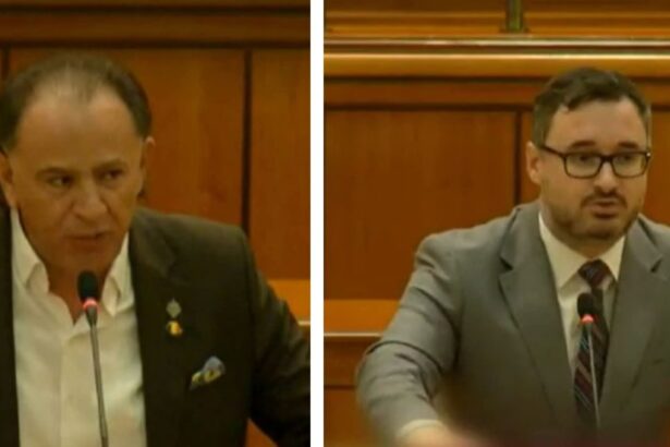 amatorism politic la aur in plenul parlamentului dan tanasa de fata cu colegul sau de la constanta murad nu vreau sa vad picior de azilant si refugiat in romania 681c6918b284a
