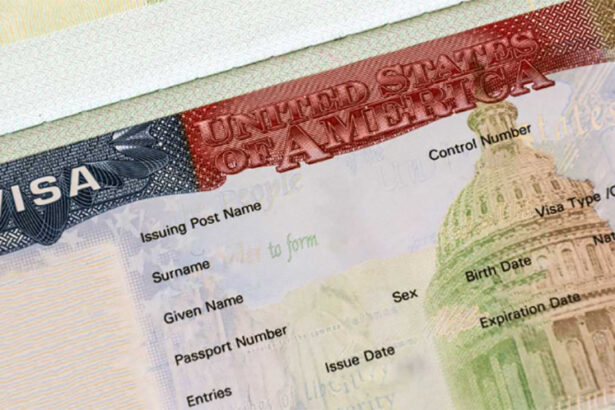 ambasada sua la bucuresti primul anunt dupa eliminarea romaniei din visa waiver imigratia ilegala pune presiune pe sistemul de sanatate 6815dd86eefb5