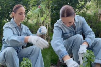 andreea marin in ipostaze de nerecunoscut in salopeta si cu mainile in pamant munceste in gradina 68284357ca2eb
