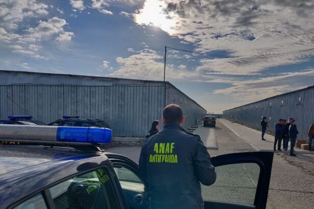 antifrauda a identificat obligatii fiscale neachitate de peste 15 milioane de lei la o firma din constanta firma a platit aproape 900 000 de lei inainte de finalizarea verificarilor 68344319e82d7