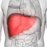 Proteinele din sânge: indicatori timpurii ai bolilor hepatice cu 16 ani înainte de apariție 3 anumite proteine din sange pot anticipa boala hepatica chiar si cu 16 ani inainte de declansare 6815b4d97efe8