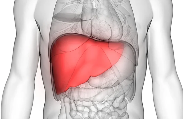Proteinele din sânge: indicatori timpurii ai bolilor hepatice cu 16 ani înainte de apariție 1 anumite proteine din sange pot anticipa boala hepatica chiar si cu 16 ani inainte de declansare 6815b4d97efe8