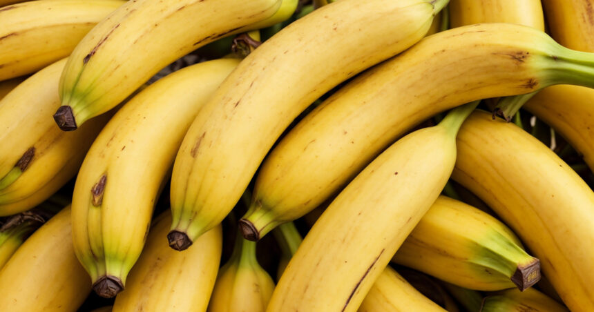 Bananele sub asediu: Ce pericole pândesc recoltele? 1 bananele in pericol ce anume le ameninta culturile 6821fe25499bd
