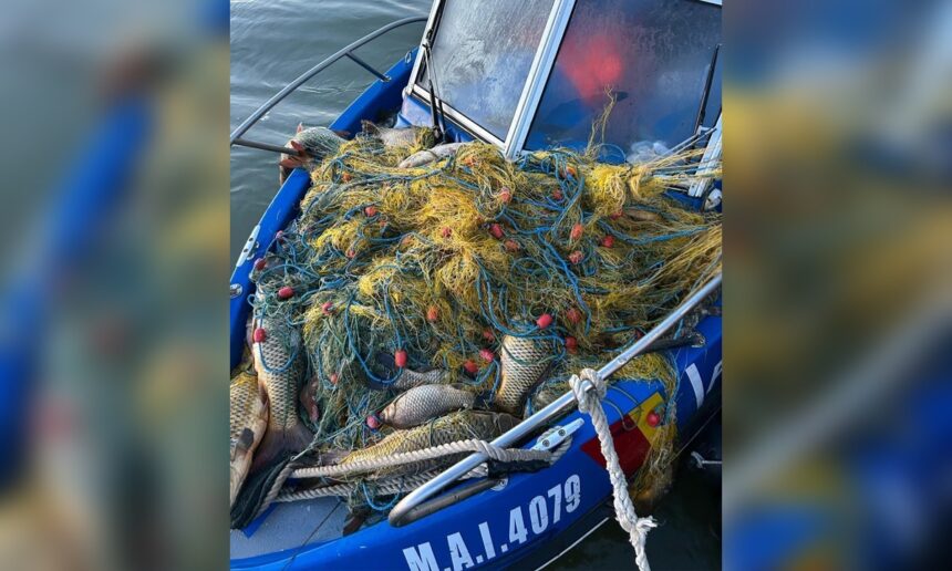 Braconaj în Delta Dunării: Descoperirile șocante ale Gărzii de Coastă în lacurile Bogdaproste și Trei Iezere 1 braconaj in delta dunarii pe lacurile bogdaproste si trei iezere iata ce a descoperit garda de coasta 6818b462d3720