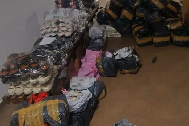 bunuri susceptibile a fi contrafacute in valoare de aproximativ 700 000 lei descoperite de politistii de frontiera din cadrul garzii de coasta 6819caed07a5c