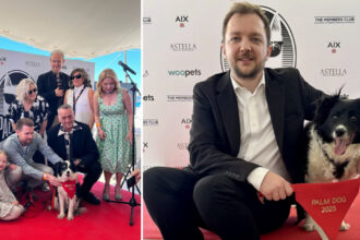 cannes 2025 un ciobanesc islandez a primit trofeul palme dog pentru cea mai buna interpretare canina 683372fcc47b1