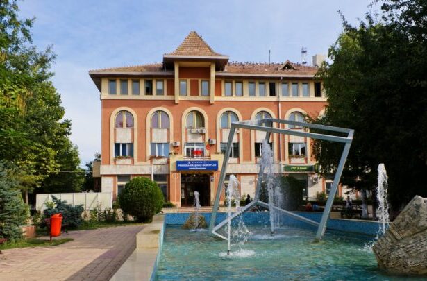 cat a platit primaria murfatlar pentru iluminatul public doua contracte semnate cu aceeasi firma intr un an 683692b6286f6