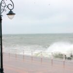 Atenție, Constanța! Avertisment de vânt intens – Primăria solicită șoferilor să evite parcarea lângă arbori! 2 cod galben de vant puternic la constanta primaria roaga soferii sa nu parcheze in dreptul copacilor 68284df282bf3