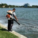 Constanța. Inițiative de ecologizare pe țărmurile lacurilor Siutghiol și Tăbăcărie 3 constanta actiuni de delarvizare pe malurile lacurilor siutghiol si tabacarie 681b61734b556
