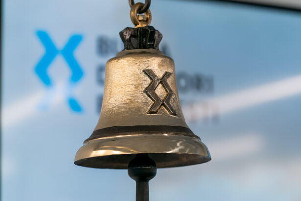 contrapartea centrala trage bvb pe pierdere 68243cef276dc