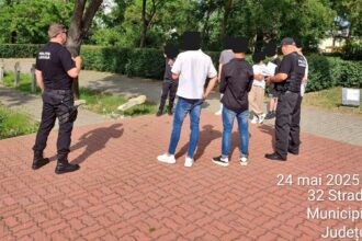 cruci vandalizate in cimitirul eroilor politia locala condamnam ferm astfel de fapte 6836a7efb19bd