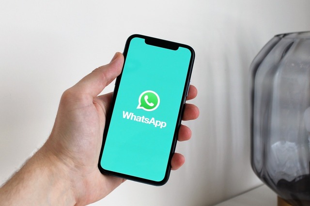 Descoperă cum să evaluezi eficiența unei campanii de trafic cu ajutorul rapoartelor din WhatsApp Business 1 cum monitorizezi succesul unei campanii de trafic prin rapoartele din whatsapp business 6829977645a43