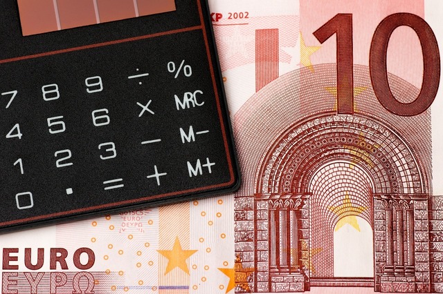 Cursul valutar prezentat de BNR: Un euro valorează 5,1036 lei! 1 cursul valutar anuntat de bnr 1 euro este cotat la 51036 lei 68246d83c3a29