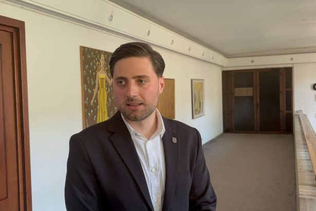 decizie bej constanta buletine de vot suplimentate in mai multe sectii de votare judetul plin de turisti video documente 6817466c04450