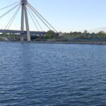 Descoperire ÎNGROZITOARE: Cadavrul unui bărbat de 58 de ani, descoperit în apele Canalului Dunăre-Marea Neagră, lângă Agigea 2 descoperire macabra trupul unui barbat de 58 de ani gasit plutind in canalul dunare marea neagra la agigea 681f8b9e3ad99