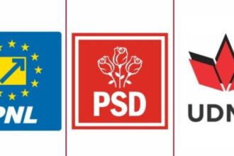 dezastru pentru pnl psd udmr la constanta simion 4445 nicusor dan 201 crin antonescu 1522 ponta 1274 6817d37473d48