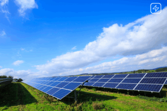 estimare cati bani a incasat nepotul lui marcel ciolacu din vanzarea detinerilor de cate 50 la 2 dezvoltatori de proiecte de parcuri fotovoltaice subventionate prin pnrr 682e57d2439be