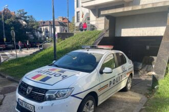 fetita de noua ani ucisa intr un accident aproape de mangalia condamnare definitiva pentru soferul care a baut tuica si a mancat pateu cu paine 6825c04d9fa2d
