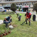 Asociația Act for Tomorrow transformă curtea Spitalului Județean Constanța într-un colț de natură revitalizant! 2 foto asociatia act for tomorrow amenajeaza zilele acestea spatiul verde din curtea spitalului judetean constanta 6827661075f86