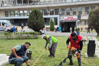 foto asociatia act for tomorrow amenajeaza zilele acestea spatiul verde din curtea spitalului judetean constanta 6827661075f86