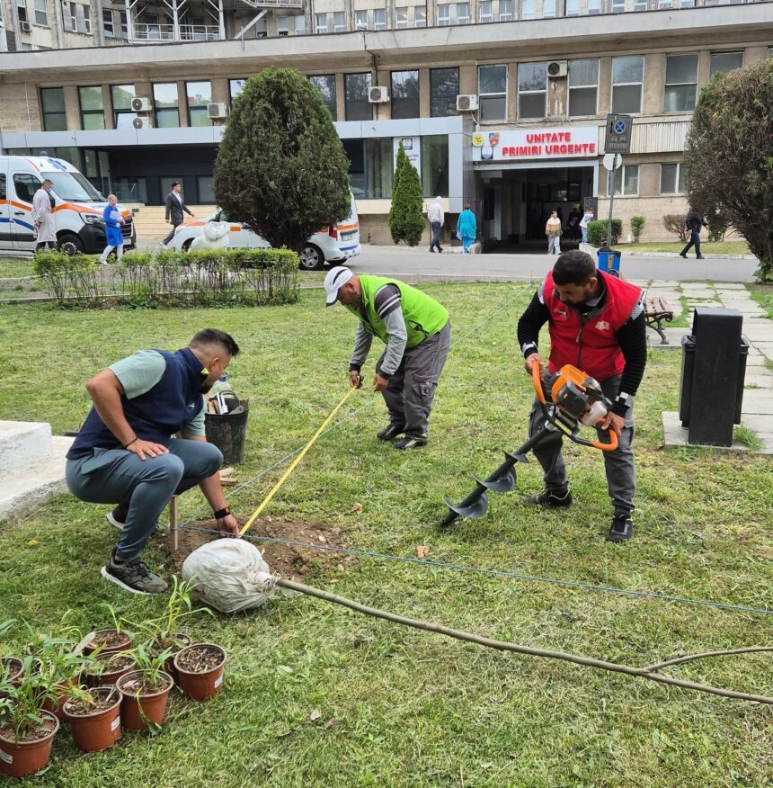 Asociația Act for Tomorrow transformă curtea Spitalului Județean Constanța într-un colț de natură revitalizant! 1 foto asociatia act for tomorrow amenajeaza zilele acestea spatiul verde din curtea spitalului judetean constanta 6827661075f86