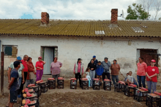 foto in ziua inaltarii domnului asociatia suflete deschise a oferit daruri persoanelor aflate in nevoie si a lansat un indemn pentru toti crestinii 68387458cdb7b