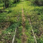 Mocănița de pe Valea Bistriței, unică în sudul Carpaților, pregătită pentru a deveni atracția turistică a Olteniei de sub munte 3 foto mocanita de pe valea bistritei singura de la sud de carpati propusa pentru un circuit turistic prin oltenia de sub munte 681af7ffaea97