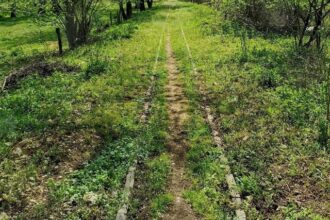 foto mocanita de pe valea bistritei singura de la sud de carpati propusa pentru un circuit turistic prin oltenia de sub munte 681af7ffaea97