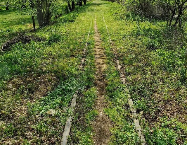 Mocănița de pe Valea Bistriței, unică în sudul Carpaților, pregătită pentru a deveni atracția turistică a Olteniei de sub munte 1 foto mocanita de pe valea bistritei singura de la sud de carpati propusa pentru un circuit turistic prin oltenia de sub munte 681af7ffaea97