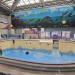 "Constanța așteaptă cu nerăbdare: Directorul Dincă dezvăluie când se vor relua spectacolele la Delfinariul închis" 3 foto video de ce nu poate fi deschis inca delfinariul din constanta danut dinca directorul cmsn vesti bune despre momentul cand vor avea loc primele spectacole 681b9fedb93c7