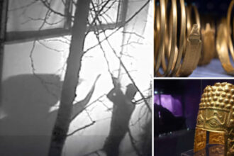 furtul tezaurului dacic de la muzeul drents sapte suspecti niciun artefact recuperat presa olandeza dezvaluie detalii din ancheta 681a0c0e40051