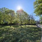 Parcul Arheologic: Transformarea spectaculoasă din apropierea Casei Albe 2 galerie foto parcul arheologic nu mai e maidanul de langa casa alba 682a6de8dbdd5