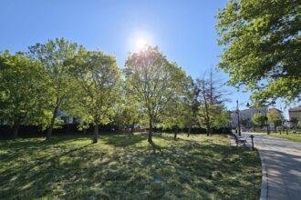 galerie foto parcul arheologic nu mai e maidanul de langa casa alba 682a6de8dbdd5