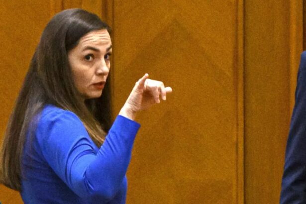 gavrila pot s a dus la nicusor dan ca sa i ceara lista de la sts cu cei 116 milioane de votanti pentru necesitatea unui exercitiu de transparenta totala al alegerilor v 683756cbda882