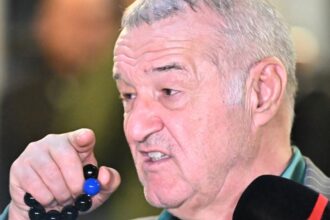 gigi becali nu renunta la politic noi discutii cu andrei nicolescu si un detaliu cheie 6824396345346