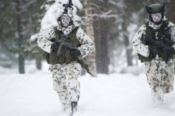 guvernul finlandez intentioneaza sa ridice varsta rezervistilor la 65 de ani 6824d23fbd57a