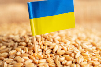 guvernul francez e favorabil restrictionarii importurilor de grau din ucraina in ue 682b2dac0bba0