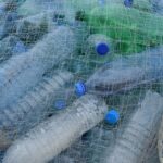 HARTA: Ce recompense financiare obții pentru reciclarea unei sticle în diverse țări. Polemicile din jurul acestui sistem 3 harta cati bani primesti daca returnezi o sticla in alte tari controverse legate de sistem 6838d632684f7