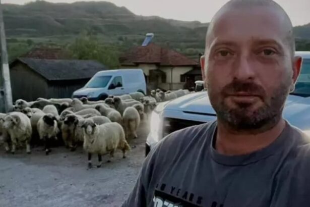 imagini cu casa lui cheloo din breaza s a mutat la tara si nu se fereste de treburile gospodaresti 68343cf64fc3e