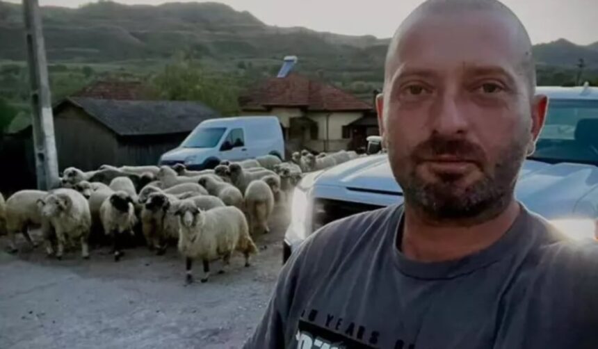 Casa lui Cheloo din Breaza: Viața la țară și bucuriile muncii de zi cu zi 1 imagini cu casa lui cheloo din breaza s a mutat la tara si nu se fereste de treburile gospodaresti 68343cf64fc3e