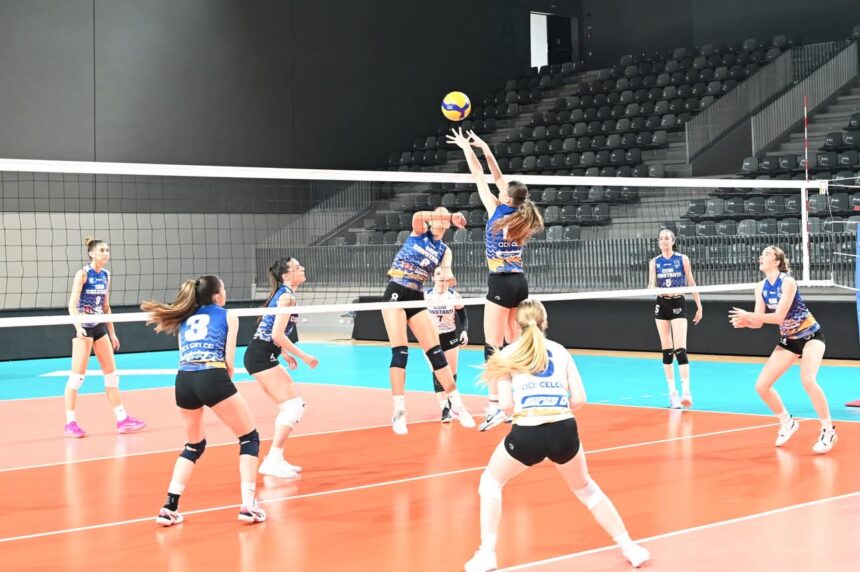 CSM Constanța, junioare în acțiune: Meci decisiv sâmbătă pentru finala Cupei României la volei! 1 junioarele de la csm constanta joaca sambata pentru un loc in finala cupei romaniei la volei 68310cf124c9d