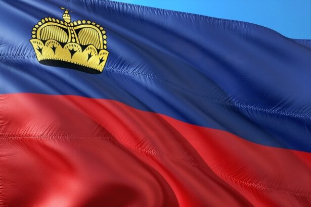 liechtenstein ul cauta o solutie la averile rusesti abandonate 6839627389524