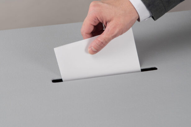 live text alegeri prezidentiale 2025 turul 1 in diaspora a inceput votul in noua zeelanda lista sectiilor de votare din strainatate 6813ed7ee1718