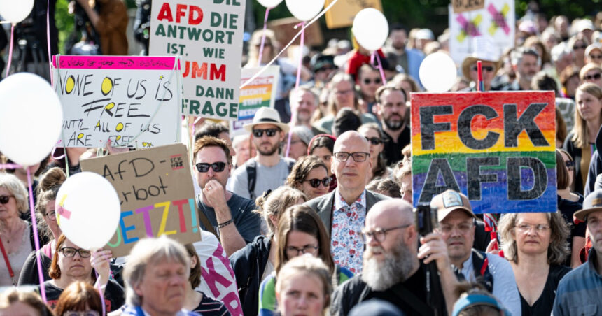Proteste de amploare în Germania: Sute de mii cer desființarea AfD! 1 mii de persoane au demonstrat in germania pentru a cere interzicerea afd 68211226cc4c0