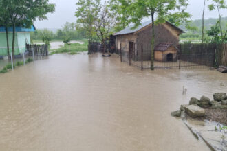 nicusor dan cere autoritatilor sa intervina rapid salvarea vietilor si protejarea bunurilor o prioritate in fata inundatiilor 68386043d0737