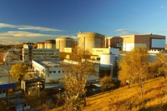 nuclearelectrica distribuie dividende de peste 900 milioane lei pentru anul 2024 plata incepe pe 24 iunie 6830770e449a0