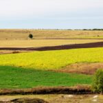 O familie din Constanța își pierde proprietatea din 23 August din cauza unui credit neplătit. Detalii despre data licitației. 2 o familie din constanta ramane fara un teren din 23 august din cauza unui credit neachitat cand are loc licitatia 68143f6ecfe8e