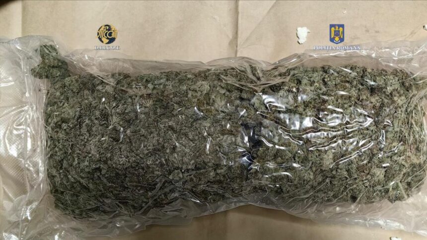 Captură surprinzătoare: Un individ prins în flagrant pentru achiziția a aproape 9 kilograme de cannabis din Spania! 1 o persoana a fost retinuta pentru trafic de droguri dupa ce cumparase aproape 9 kilograme de cannabis din spania 681e1b788ab47