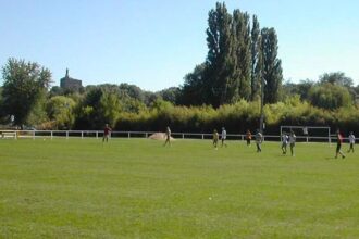 oficial 30 de ani suspendare din fotbal ce a putut sa faca portarul unei echipe din franta 6814a3f4579ac